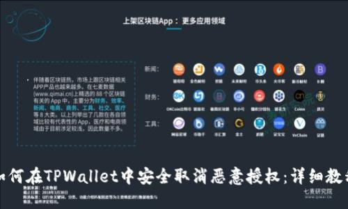 如何在TPWallet中安全取消恶意授权：详细教程