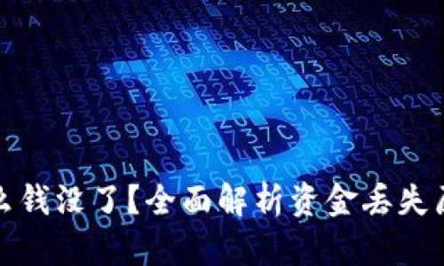 tpwallet为什么钱没了？全面解析资金丢失原因及解决方案