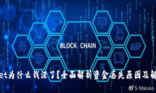 tpwallet为什么钱没了？全面解析资金丢失原因及解决方案