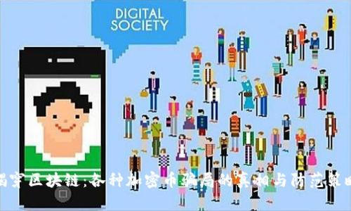 揭穿区块链：各种加密币骗局的真相与防范策略