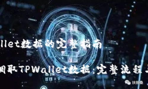 调取TPWallet数据的完整指南

如何高效调取TPWallet数据：完整流程与实用技巧