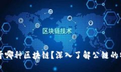 比特币属于哪种区块链？深入了解公链的特性与