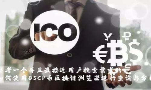 思考一个并且最接近用户搜索需求的  
如何使用DSCP币区块链浏览器进行查询与分析