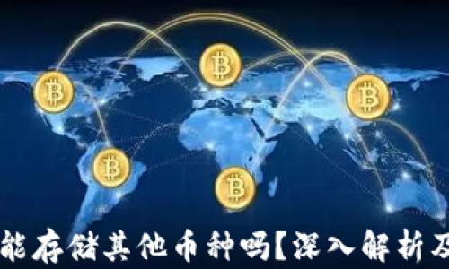 
TPWallet能存储其他币种吗？深入解析及使用指南